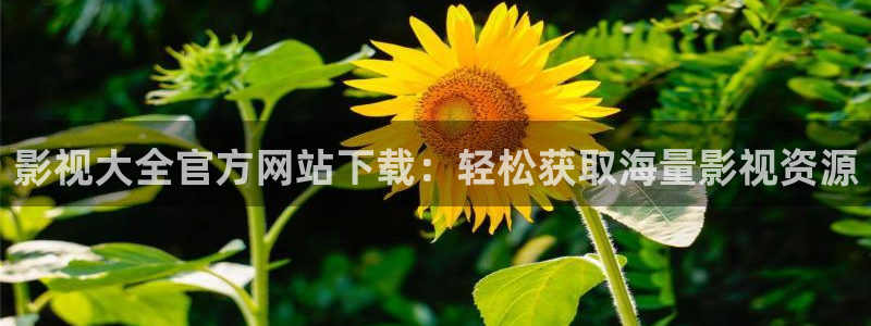 全能电影院：影视大全官方网站下载：轻松获取海量影视资源