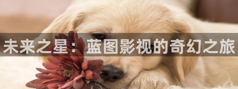 全能影视网站：未来之星：蓝图影视的奇幻之旅