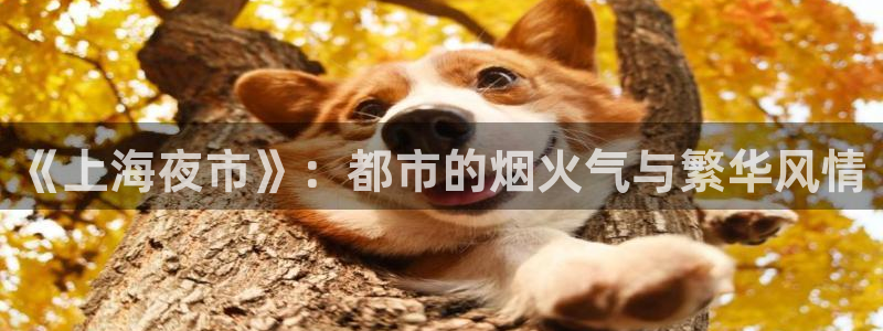 全能影视王：《上海夜市》：都市的烟火气与繁华风情
