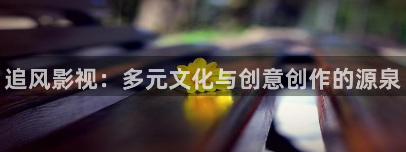 全能影视 下载：追风影视：多元文化与创意创作的源泉