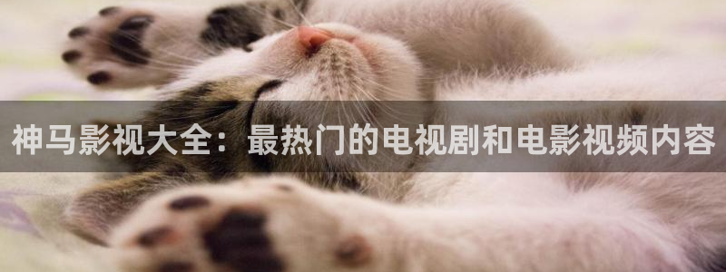 全能影视免费电影：神马影视大全：最热门的电视剧和电影视频内容