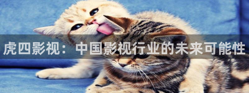 全能播放器电视版：虎四影视：中国影视行业的未来可能性