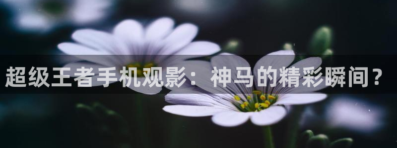 全能影视午夜网：超级王者手机观影：神马的精彩瞬间？